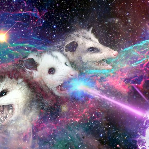 Meet your Posher, Gwennie - Picture 1 of 1